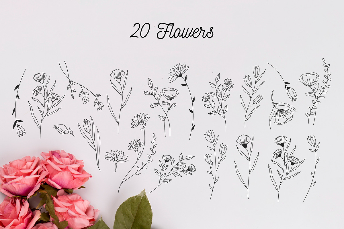 110 Hand-drawn botanical elements, a Decorative Illustration by Wander Designs (Photo 7 of 8)
