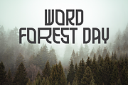 Royagna Display - 4 Fonts (40% OFF ), a Sans Serif Font by Randi Irvan | Rvandtype (Thumbnail 5 of 11)
