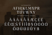 Gaines Display Serif Font, a Serif Font by Storytype Studio (Thumbnail 14 of 15)
