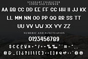 Eiffel Winter, a Script Font by InermediaSTUDIO (Thumbnail 5 of 8)