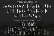 Dreamy, a Handwritten Font by FreshTypeINK (Thumbnail 2 of 8)
