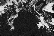 Warped Marble, a Texture Graphic by Jennifer Lauren Creative (Thumbnail 18 of 20)