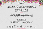 Salbatora Script, a Script Font by Areatype (Thumbnail 5 of 6)
