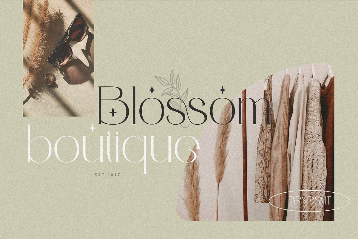 Cerlions - Classic Elegant Display, a Serif Font by BrandSemut (Photo 9 of 11)