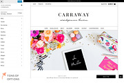 The Carraway Theme, a WordPress Template by angiemakeswebsites (Thumbnail 4 of 5)