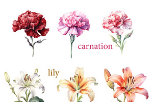 Garden flower set, watercolor, an Object Illustration by ariadna de raadt