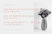 Ranse Modern Ligature Serif Font, a Serif Font by Dylla_studio (Thumbnail 11 of 12)