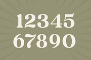 Vintage - Retro Serif Font, a Serif Font by Sensatype (Thumbnail 15 of 16)