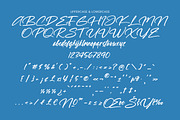 Through Out Handwritten Signature, a Handwritten Font by operatype.co (Thumbnail 9 of 10)
