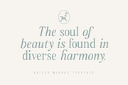 Sailor Mirage | 16 Fonts, a Serif Font by Skinny Type (Thumbnail 4 of 15)