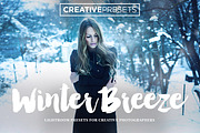 430+ LIGHTROOM PRESETS BUNDLE, an Action Add-On by CreativePresets.com (Thumbnail 21 of 28)