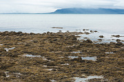Icelandic Road Trip Bundle, a Nature Photo by HG Photography (Thumbnail 10 of 11)