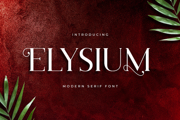 Elysium Luxury Serif Font preview 7