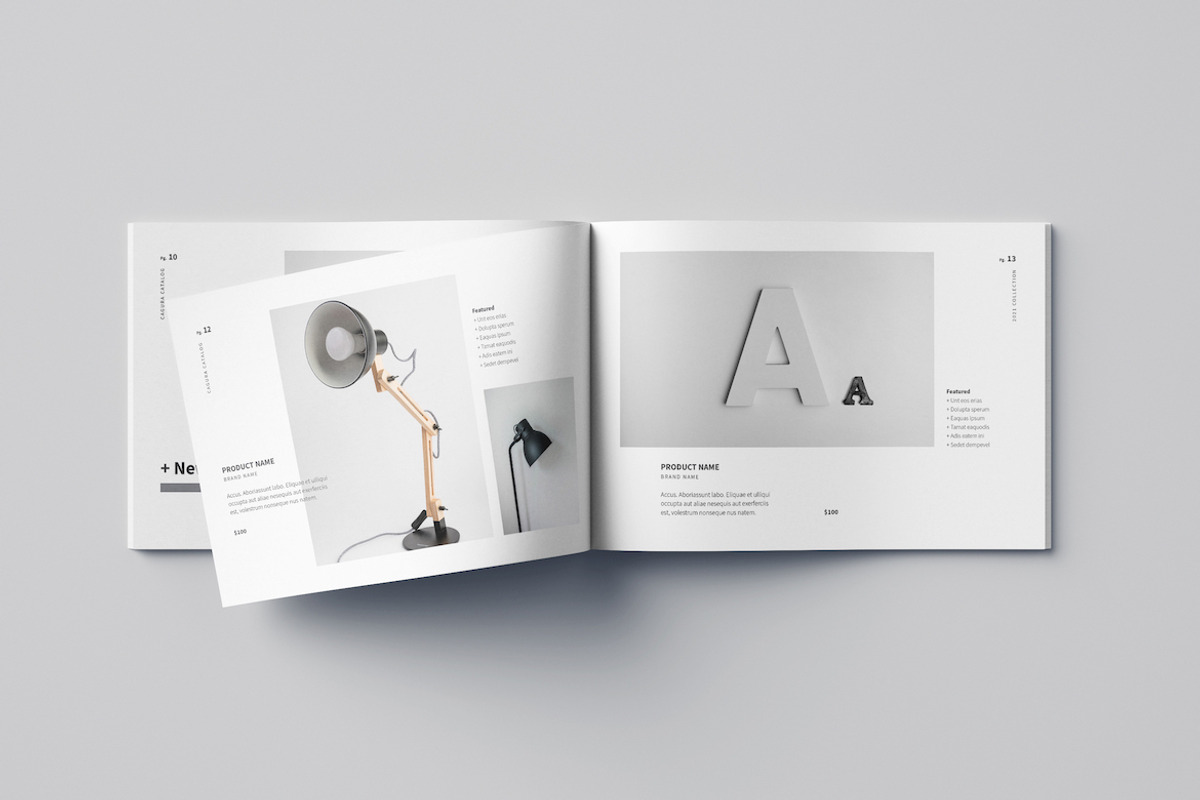 Cagura Brochure/Catalog, a Brochure Template by Meenom Templates (Photo 5 of 14)