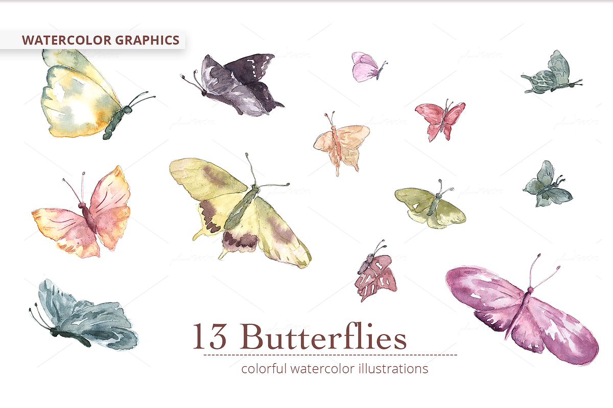 Butterfly Watercolor & Sketches, a Texture Illustration by plaidGecko (Photo 2 of 5)