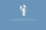 Textured Animals: 123 Elements, an Animal Illustration by Veyla (Thumbnail 14 of 14)