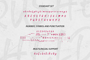 BRUSHELD – Bold Brush Script Font, a Script Font by MEANDSTUDIO (Thumbnail 7 of 8)