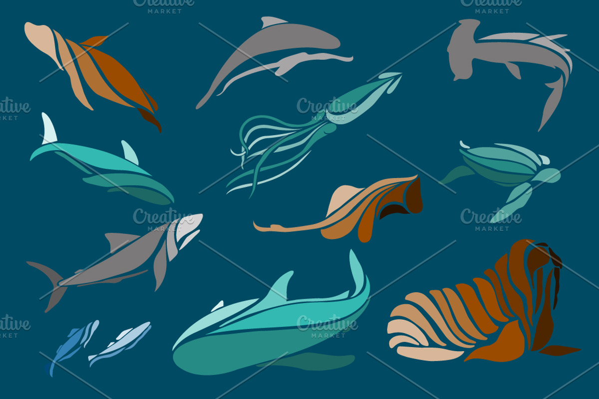 Vector sea animals collection, an Object Graphic by Lemaris (Photo 3 of 6)