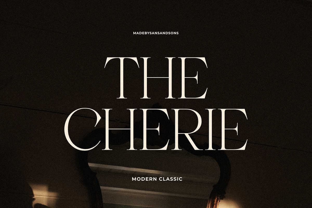 SNS - Chateu Noir, a Serif Font by Sans & Sons (Photo 3 of 9)