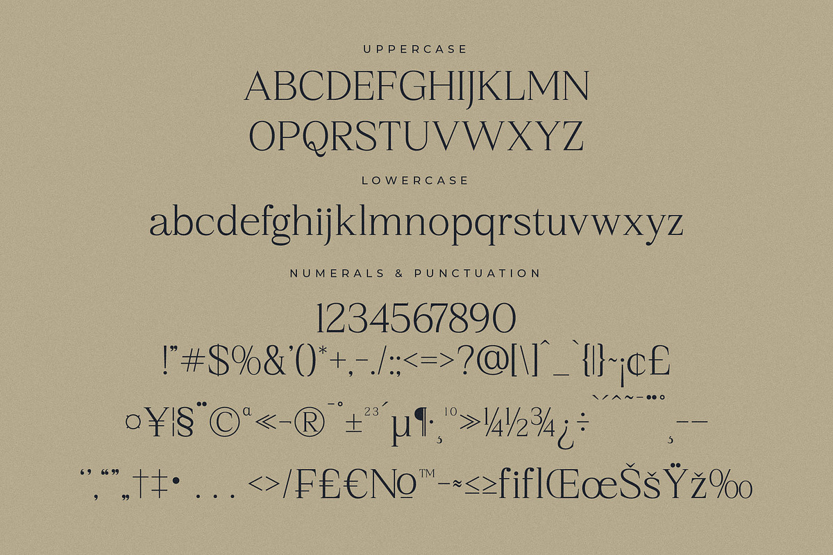 Qestrafin Modern Serif Font, a Serif Font by Letterena Studios (Photo 13 of 15)