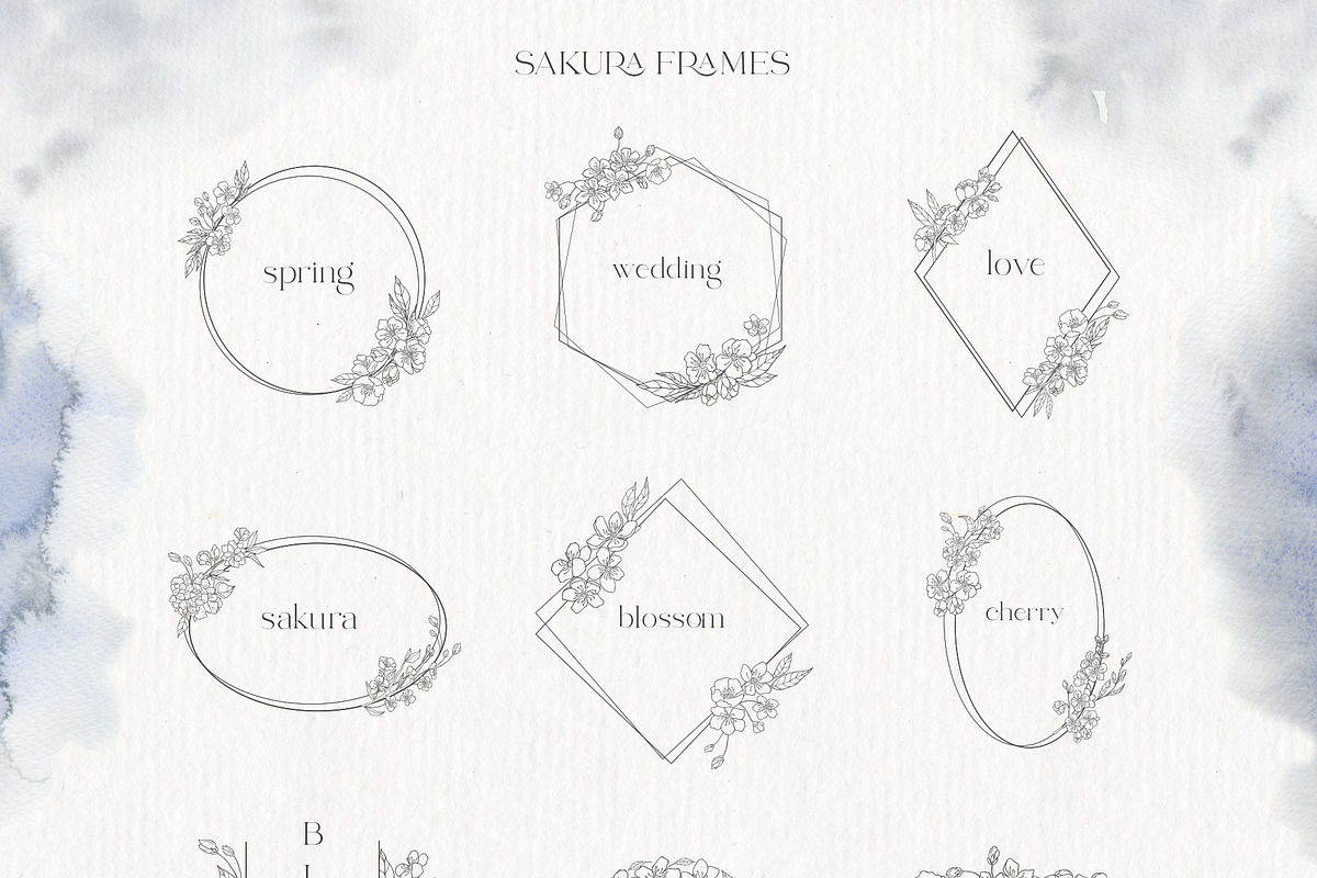 Sakura Blossom. Cherry Spring., a Seasonal Illustration by Designwork (Photo 21 of 23)