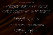 Asmelina Harley Script, a Script Font by Kotak Kuning Studio (Thumbnail 7 of 9)