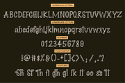 Sale! Midnight Story Font Family, a Serif Font by theinkaffair (Thumbnail 5 of 8)
