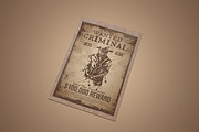 Wanted Criminal Flyer Template, a Stationery Template by Creatiya Type (Thumbnail 2 of 3)
