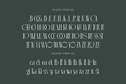 Martin Langley Elegant Serif, a Serif Font by Cruzine (Thumbnail 7 of 8)