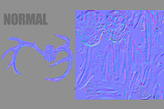 Deer Horns, an Animal 3D Model by Beatheart Creative Studio (Thumbnail 14 of 17)