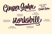 Ginger John Brush Script Family, a Script Font by Fenotype (Thumbnail 6 of 11)