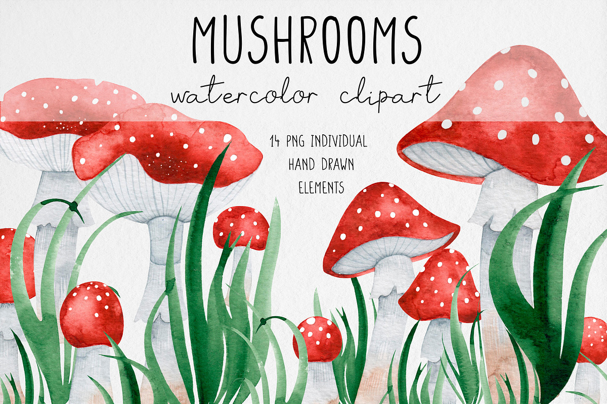 Watercolor Red Mushrooms Clipart, an Illustration by MilanaDesignShop (Photo 1 of 5)