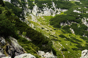 Mountain landscape in Zakopane Poland with rocky cliffs and lush green slopes b, a Nature Photo by AS photostudio
