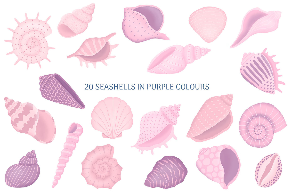 Seashells Collection, an Object Illustration by yarynabo (Photo 3 of 14)