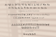 Dichigan - Modern Calligraphy Script, a Script Font by Motokiwo (Thumbnail 10 of 11)