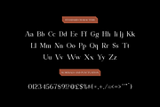 Alchemin - Advertisement Font, a Serif Font by RockboyStd (Thumbnail 10 of 12)