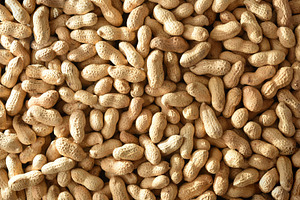 Background of a pile of peanuts in shell top view, a Food & Drink Photo by Davizro's Market