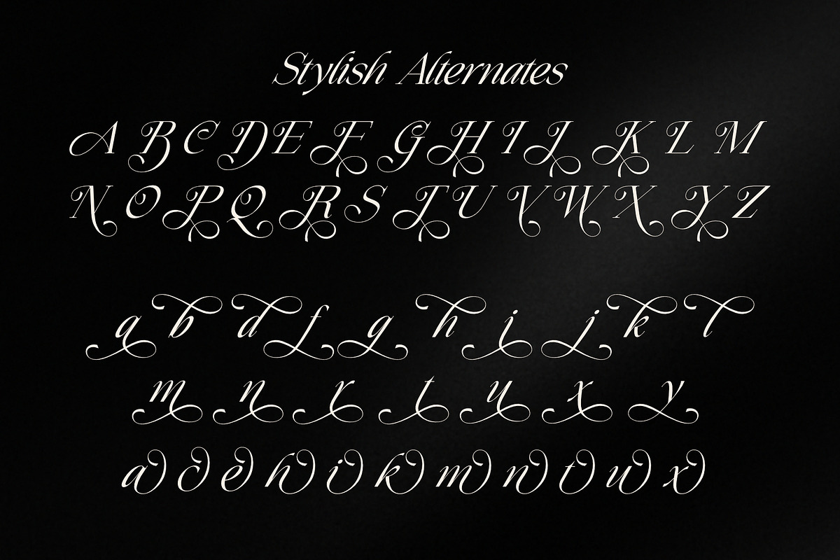 Henkau - Modern Luxury Italic Serif, a Serif Font by Sealoung (Photo 8 of 9)