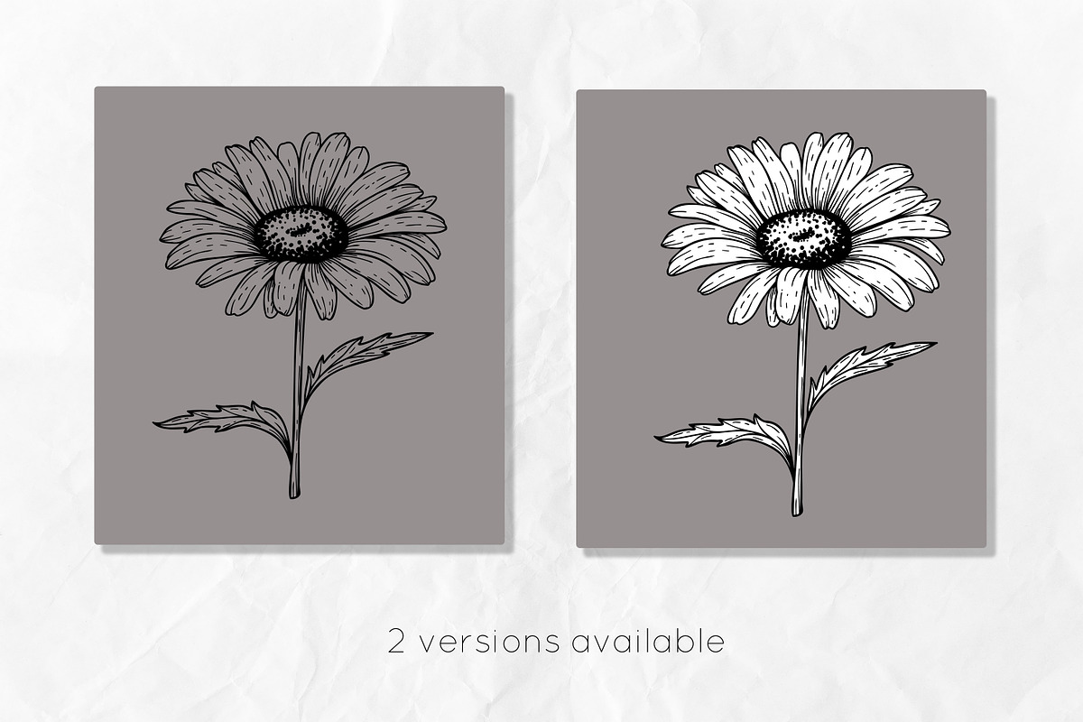 Daisy Flowers Line Art SVG, an Object Graphic by Dervik Art Store (Photo 6 of 8)