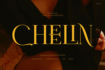 Cheelin Elegant Serif Font