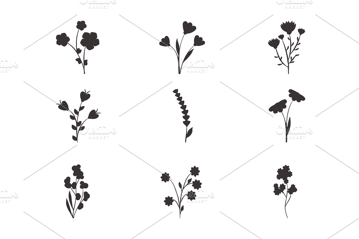 Abstract black floral plant, an Illustration by okskukuruza