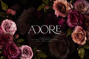 Adore Realistic Romantic Roses, an Object Graphic by Eclectic Anthology (Thumbnail 4 of 11)