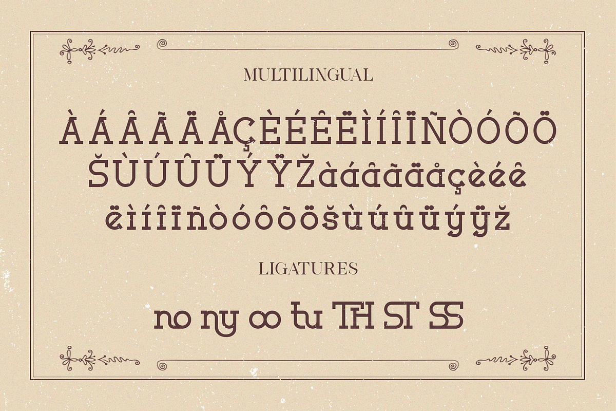 Moveiny - A Modern Serif Typeface, a Serif Font by overlaytemplates (Photo 5 of 5)