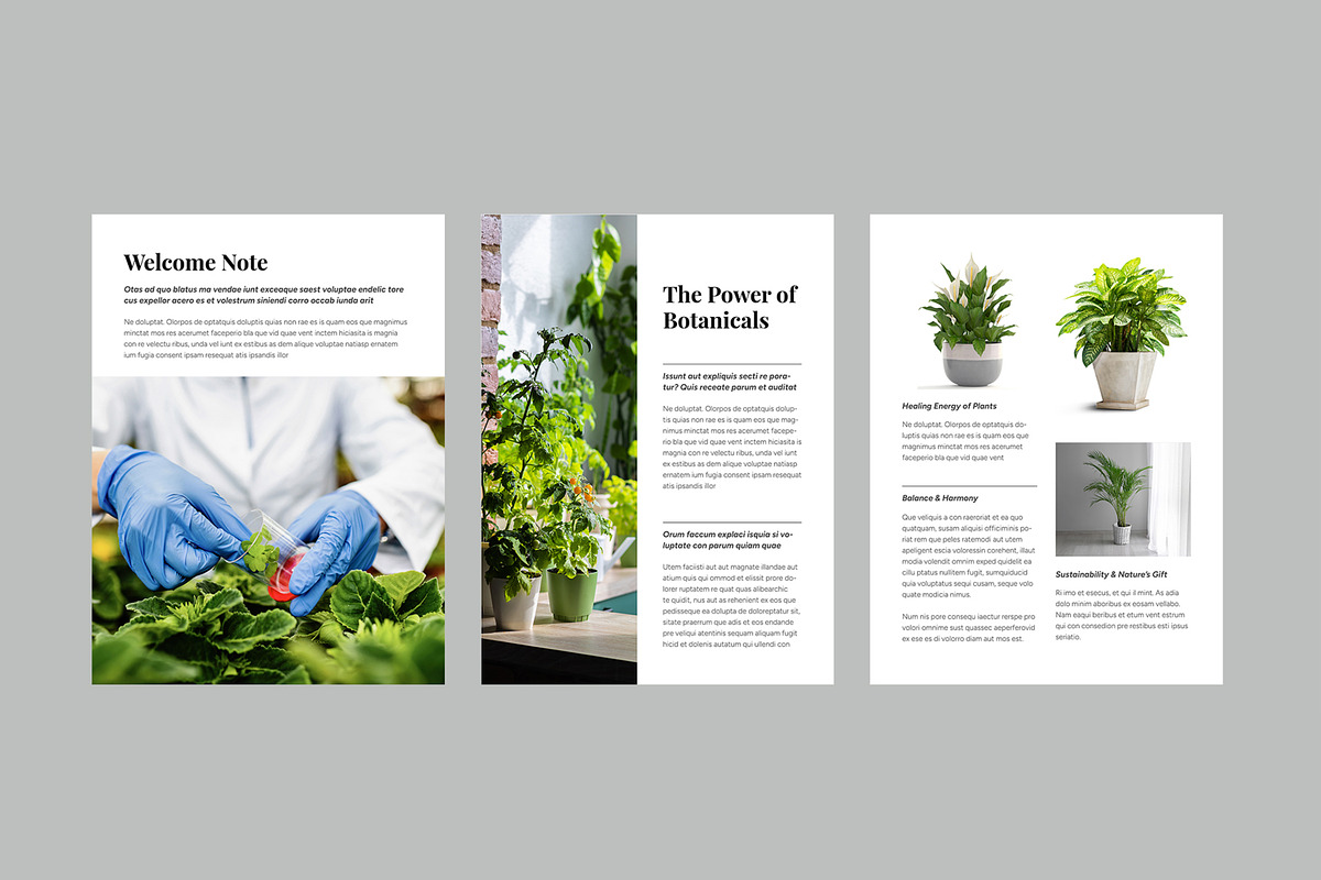 Botanical Guide to Natural Living preview 3