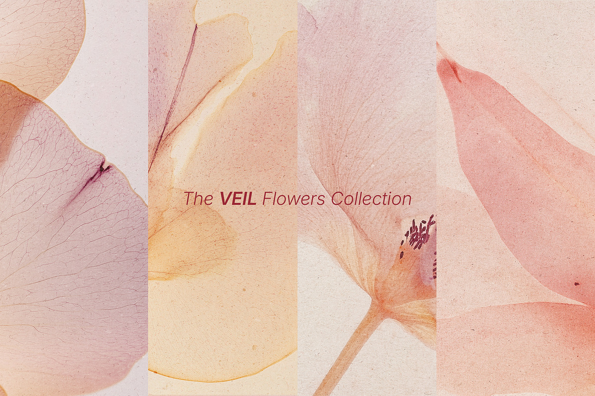 VEIL Flowers Collection, a Background Graphic by nkate (Photo 5 of 13)