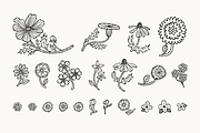 Wildflowers Illustration Bundle, a Decorative Illustration by Hillustrations (Thumbnail 2 of 3)
