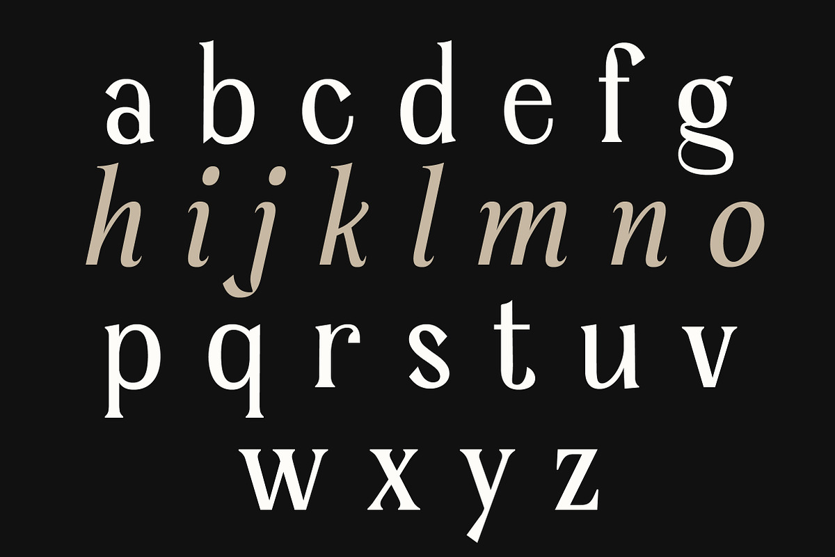 Serelia Serif Family | Intro 60% OFF, a Serif Font by Lettertype Studio (Photo 10 of 17)