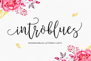 Introblues Script, a Script Font by Dhan Studio (Thumbnail 1 of 8)