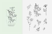 Spices. 30 Premade logos & branches, a Branding & Logo Template by Merfin (Thumbnail 8 of 8)