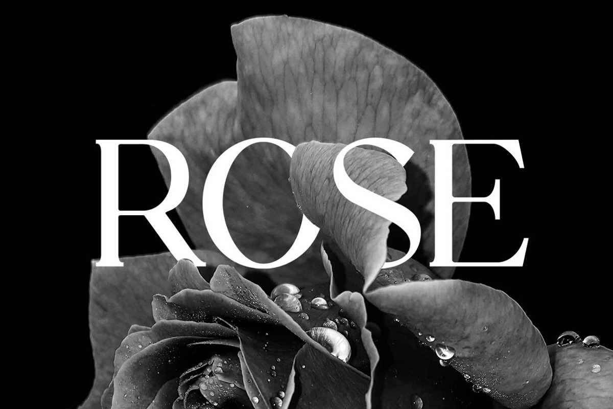 Stylebooks Typeface Serif Font, a Serif Font by UICreative (Photo 4 of 13)